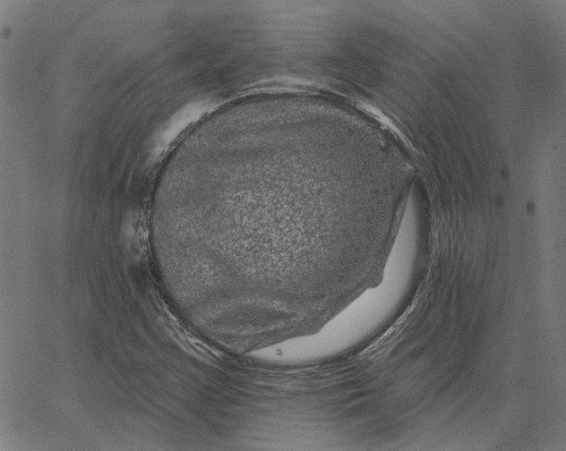 X0000065261355200603031818