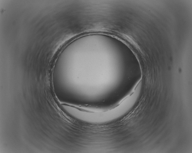 X0000065261356200603031818