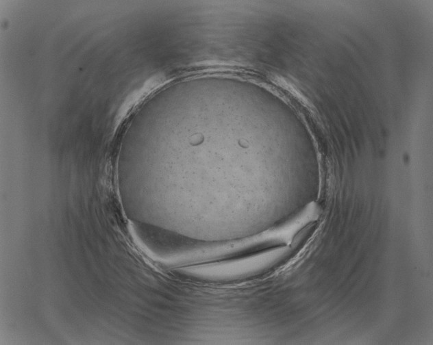 X0000065261357200603031818