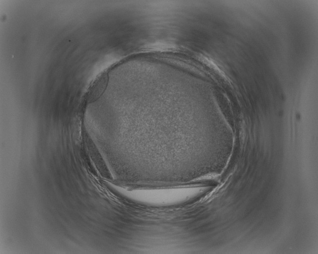 X0000065261358200603031818