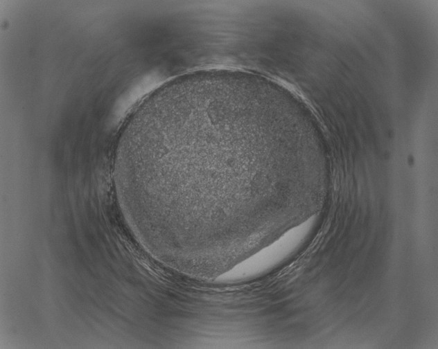 X0000065261359200603031818