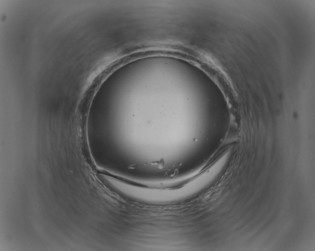 X0000065261360200603031818