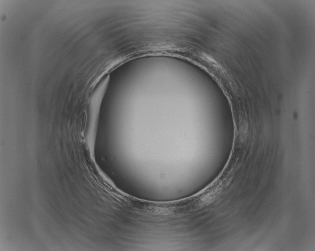 X0000065261361200603031818