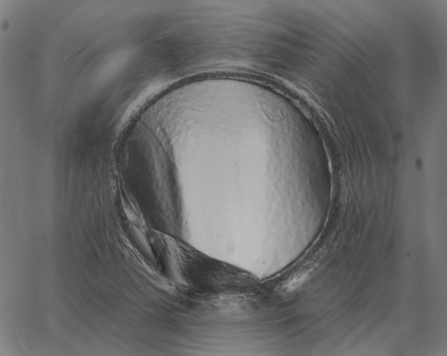 X0000065261363200603031818