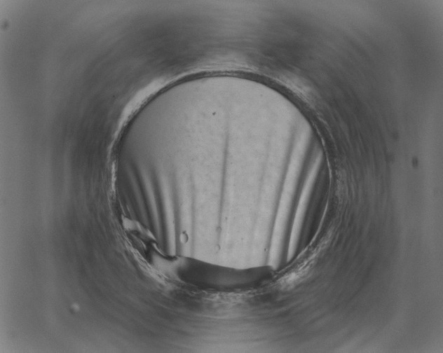 X0000065261366200603031818