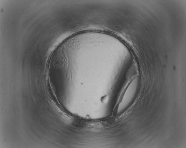 X0000065261367200603031818