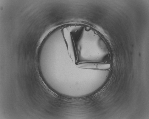 X0000065261368200603031818