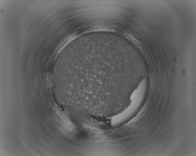 X0000065261369200603031818