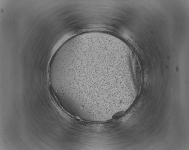 X0000065261370200603031818