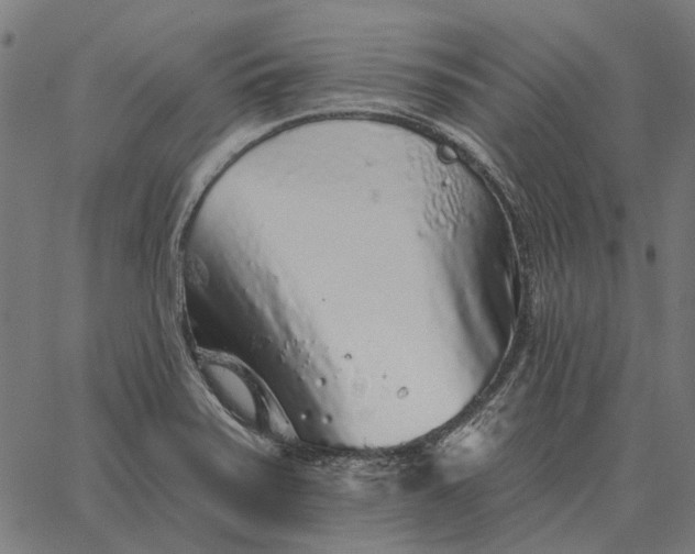 X0000065261371200603031818