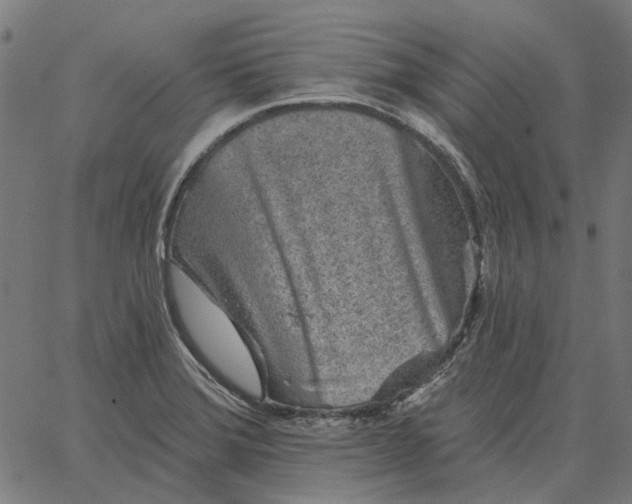 X0000065261372200603031818