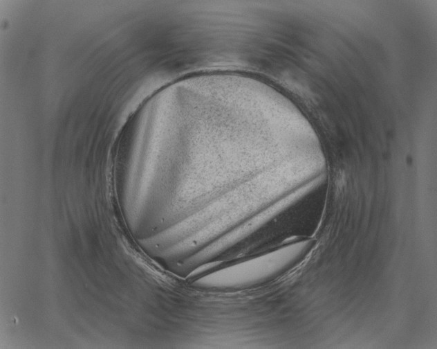 X0000065261374200603031818