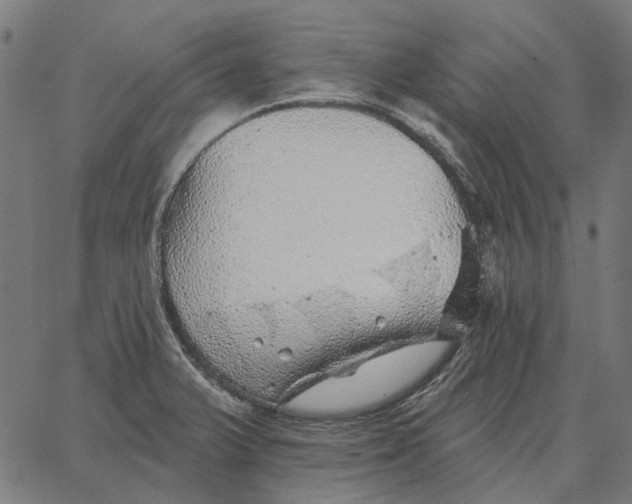 X0000065261375200603031818