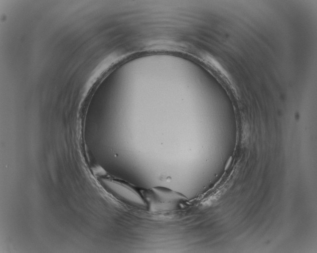 X0000065261376200603031818