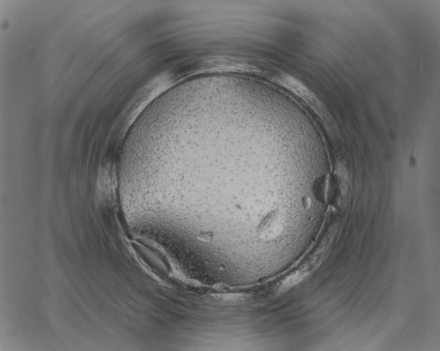 X0000065261377200603031818