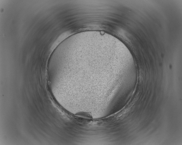 X0000065261378200603031818