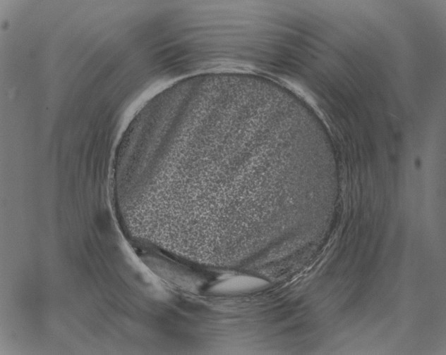 X0000065261379200603031818