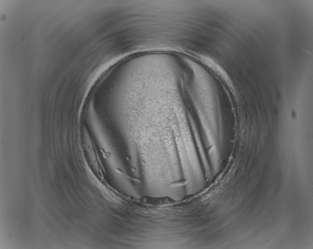 X0000065261380200603031818