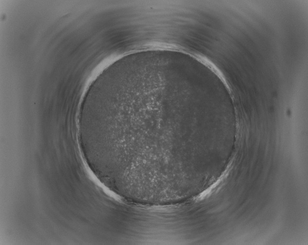 X0000065261381200603031818