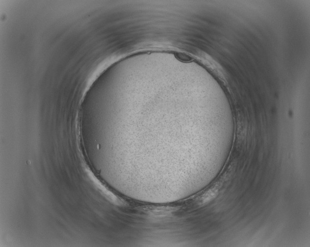 X0000065261382200603031818