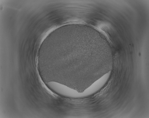 X0000065261383200603031818