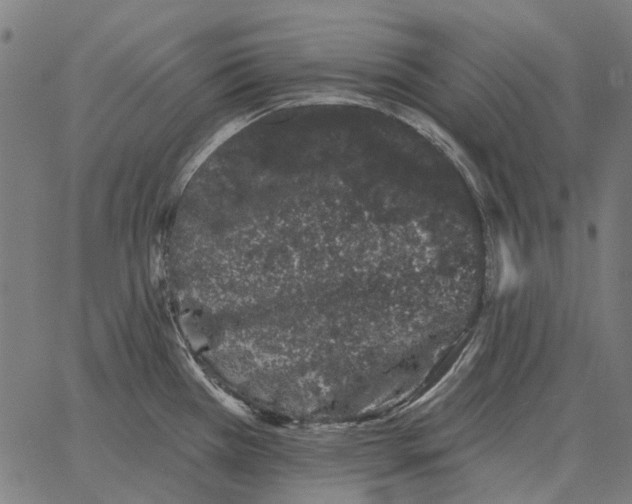 X0000065261385200603031818