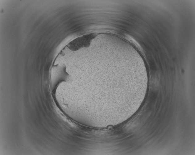 X0000065261386200603031818