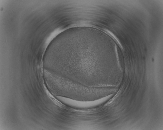 X0000065261388200603031817