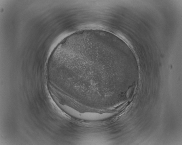 X0000065261392200603031817