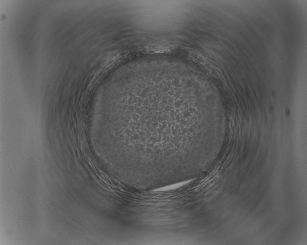 X0000065261393200603031817