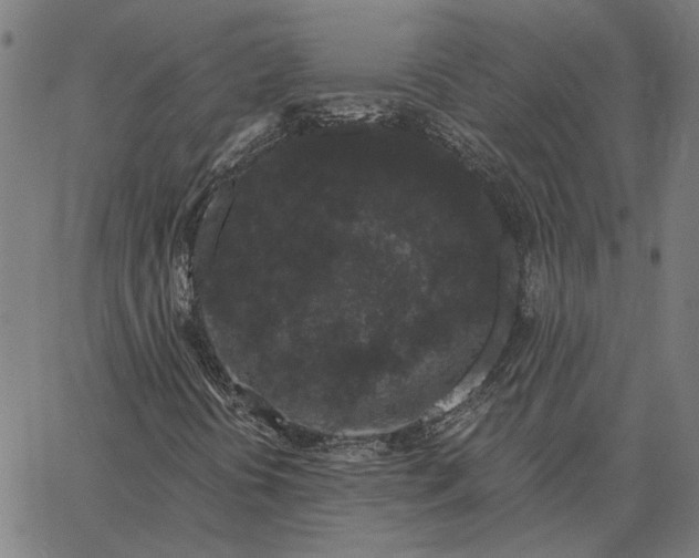 X0000065261394200603031817