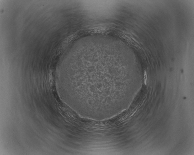 X0000065261395200603031817