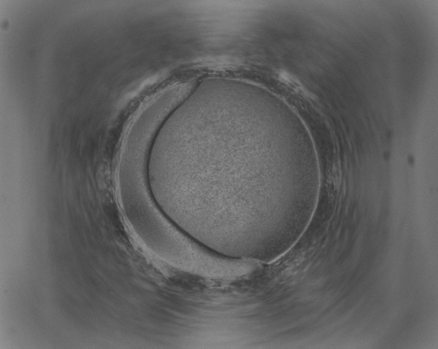 X0000065261398200603031817