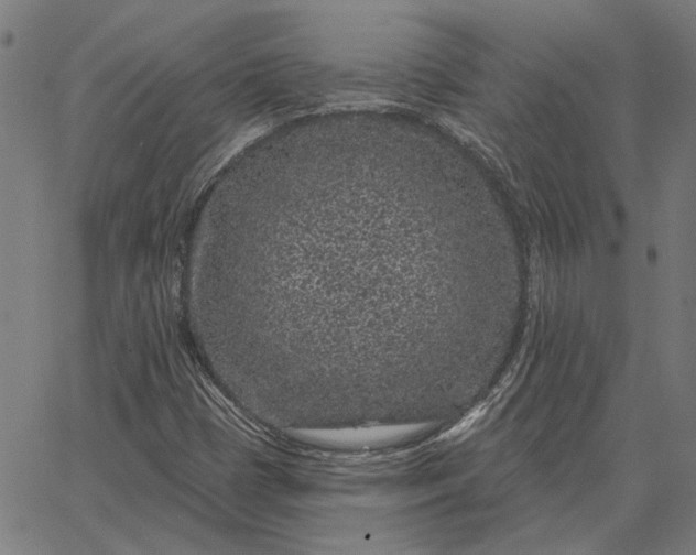 X0000065261401200603031817