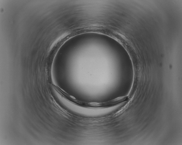 X0000065261402200603031817