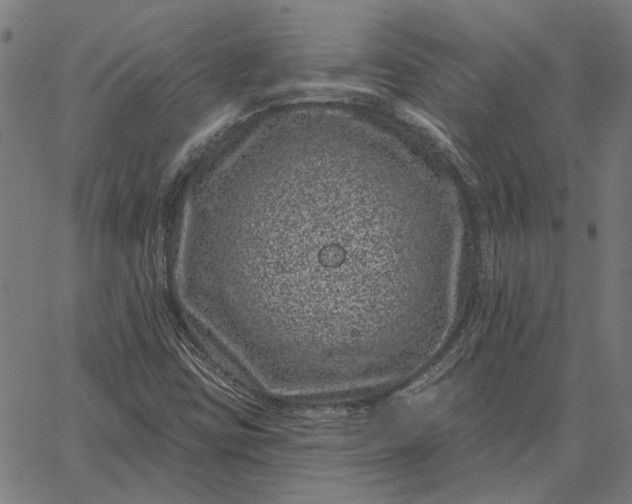 X0000065261403200603031817