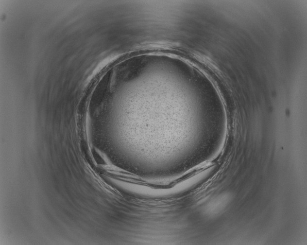 X0000065261404200603031817