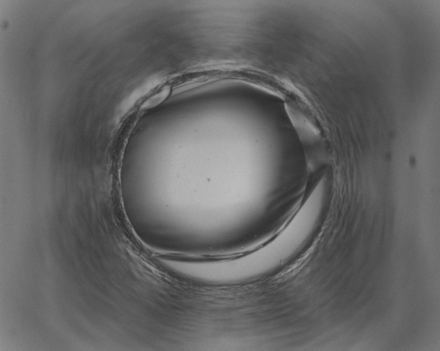 X0000065261406200603031817