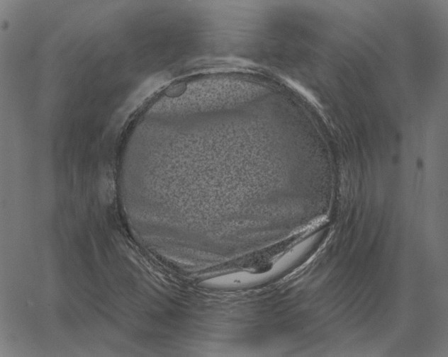 X0000065261407200603031817