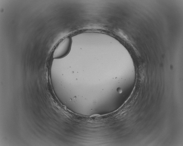 X0000065261408200603031817