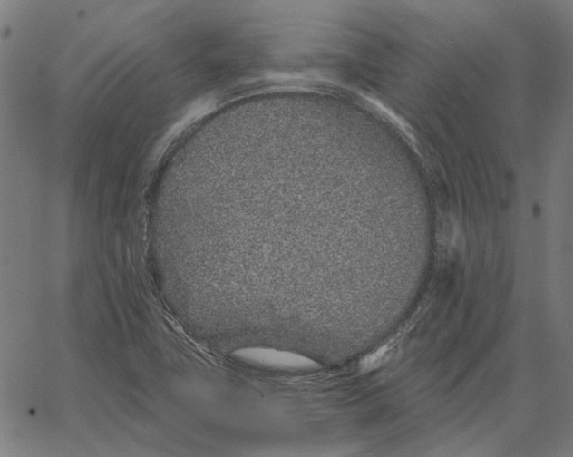 X0000065261411200603031817