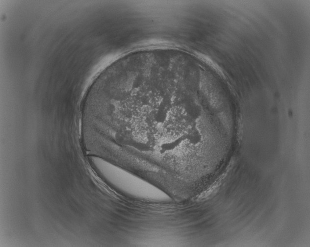 X0000065261413200603031817