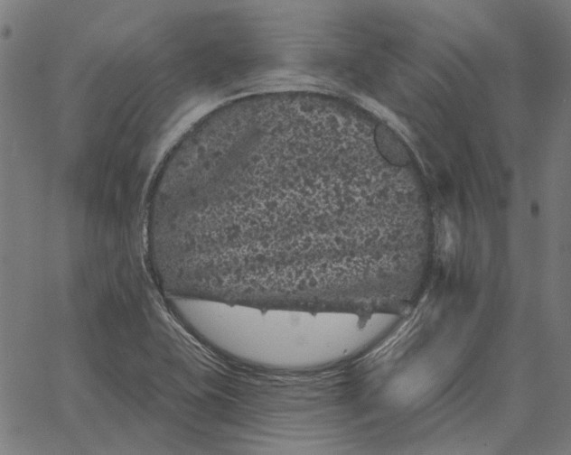 X0000065261415200603031817