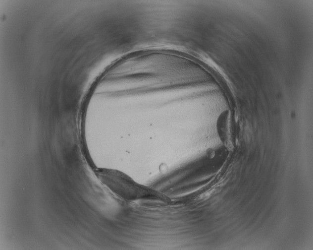 X0000065261416200603031817