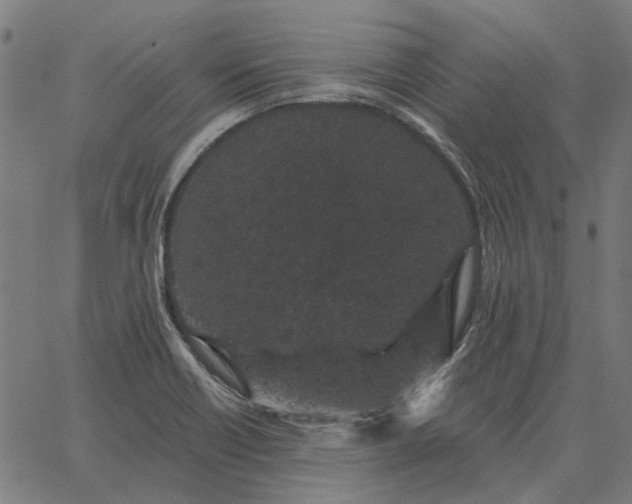 X0000065261418200603031817