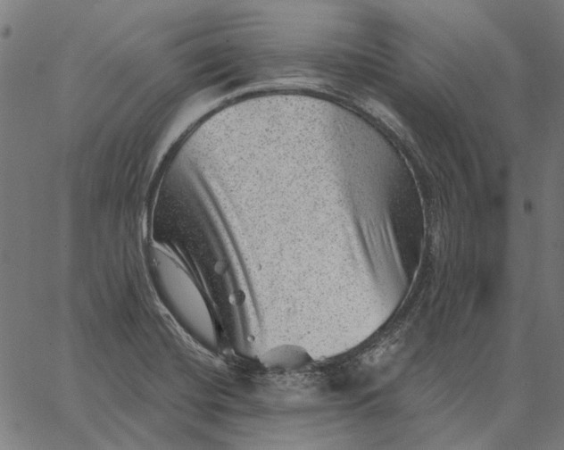 X0000065261420200603031817