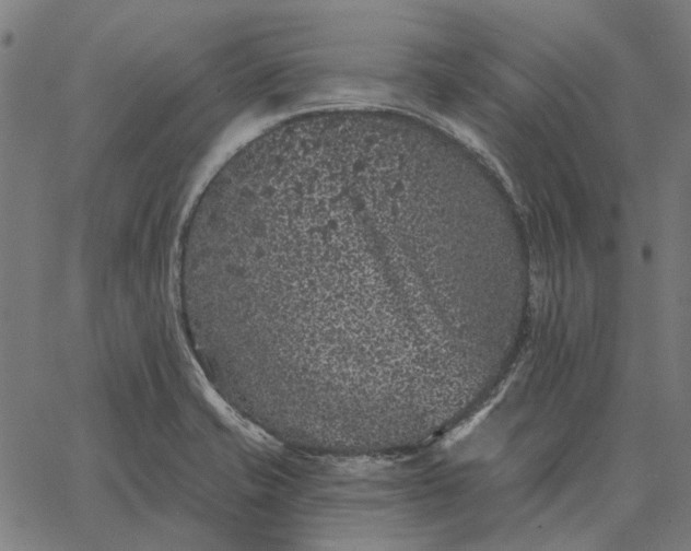 X0000065261421200603031817