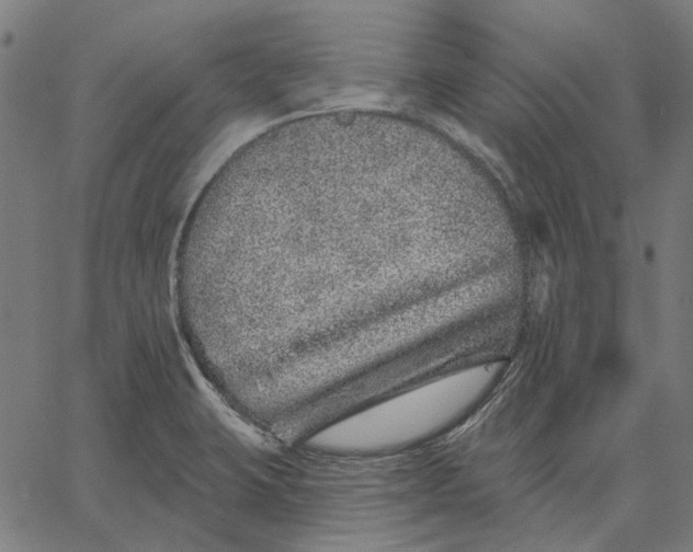 X0000065261423200603031817