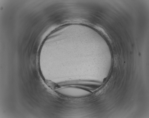 X0000065261424200603031817