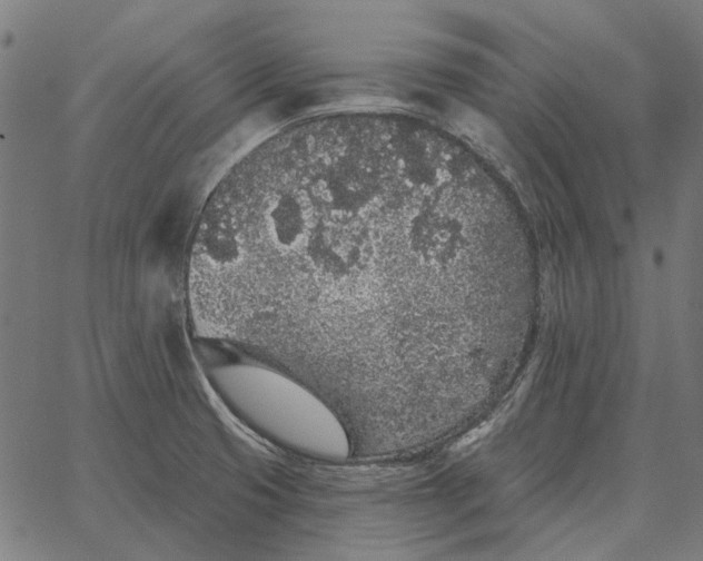 X0000065261425200603031817